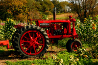 Vintage Tractor ~ North Fork, Long Island