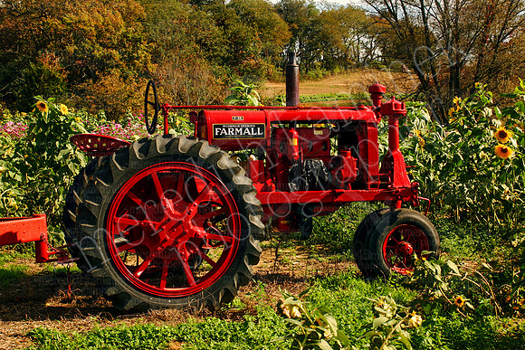 Vintage Tractor ~ North Fork, Long Island