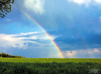 April Showers