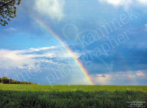 April Showers