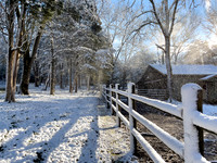 Rachel's Snow