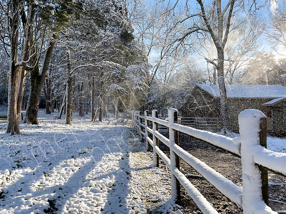 Rachel's Snow