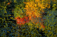 Reflections