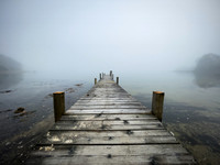Foggy Morning Red Creek Dock